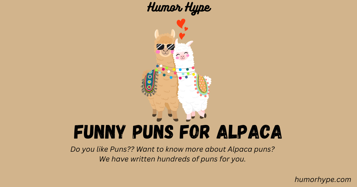 alpaca puns