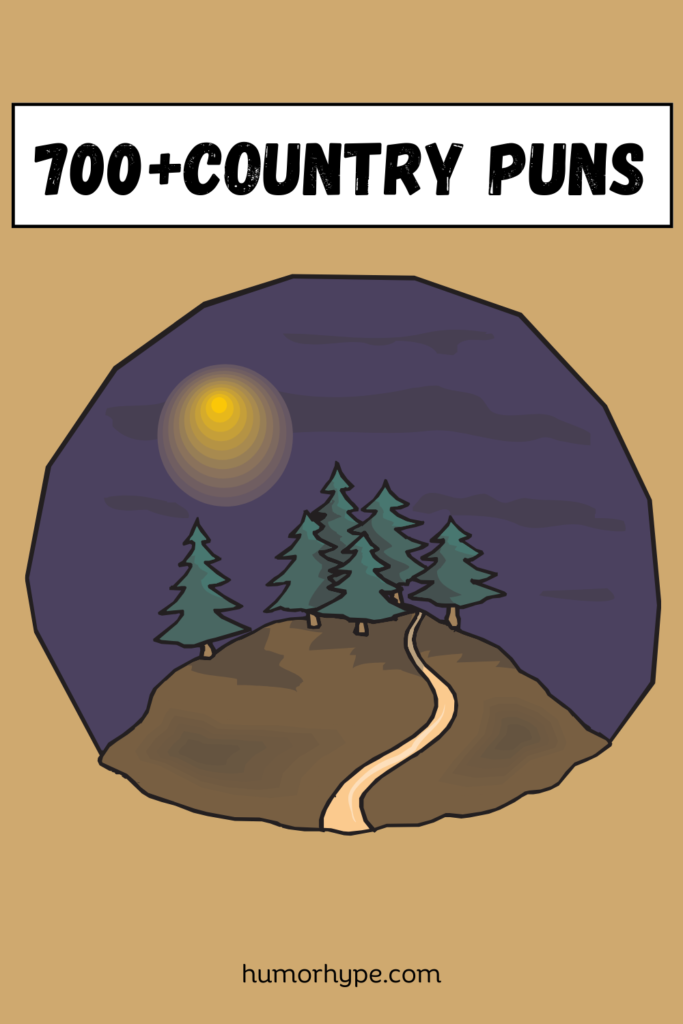 Country-Puns-pin