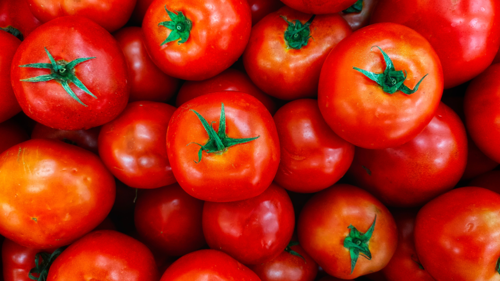 Funny-Tomato-Puns-😂🍅